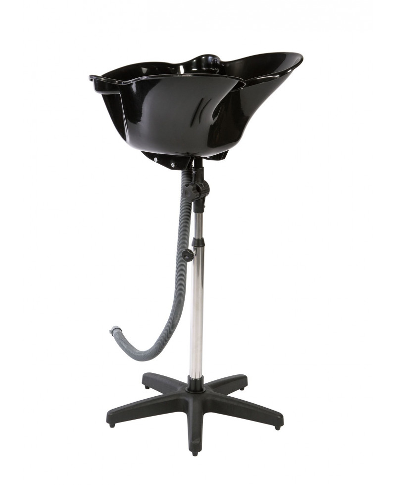 Lavacabezas portátil de Codisarpel