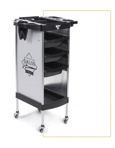 Carro peluquería Gamma color gris