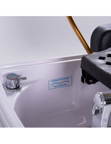 LAVACABEZAS CON SPA CAPILAR