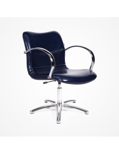 Sillon Delia Perfect Beauty